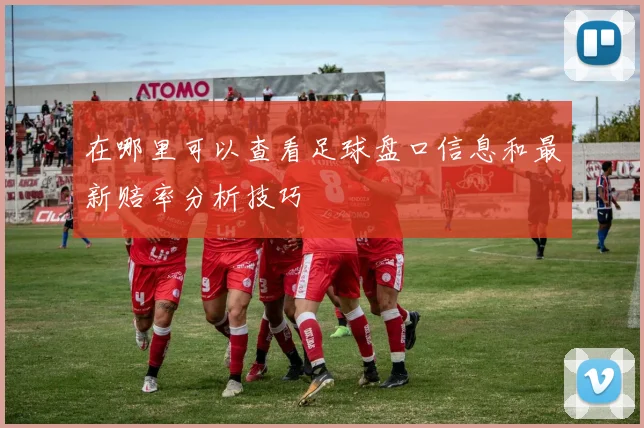 在哪里可以查看足球盘口信息和最新赔率分析技巧