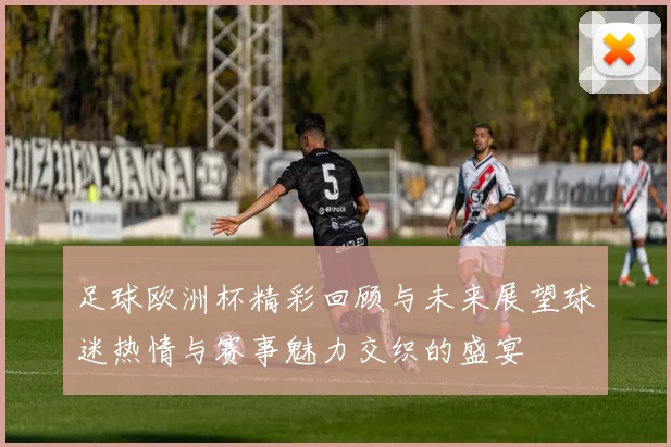 足球欧洲杯精彩回顾与未来展望球迷热情与赛事魅力交织的盛宴