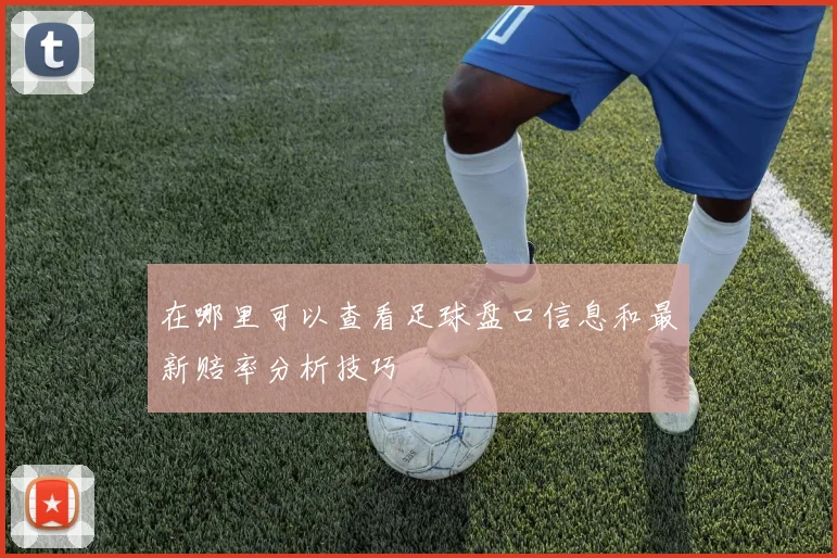 在哪里可以查看足球盘口信息和最新赔率分析技巧